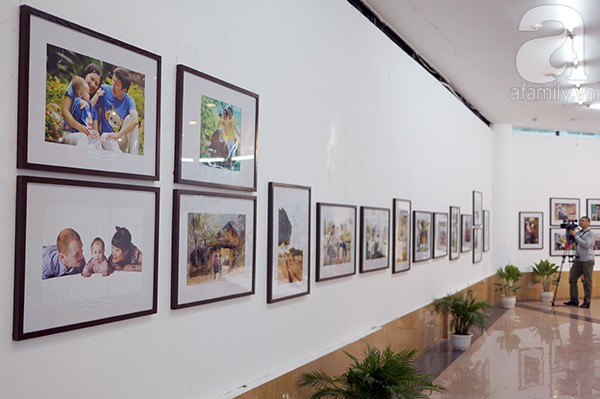 Во Вьетнаме прошли различные мероприятия, посвященные Дню семьи